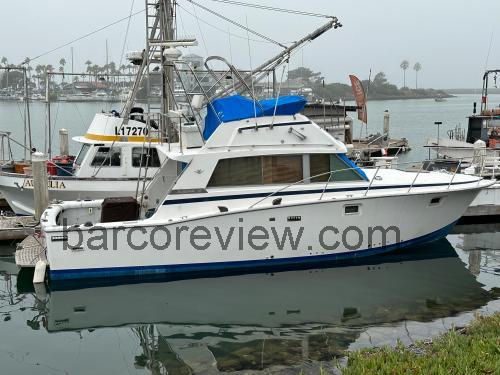Bertram 38 Convertible ficha tecnica 